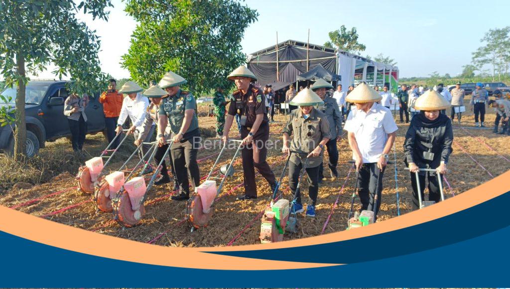 Tanam jagung nasional